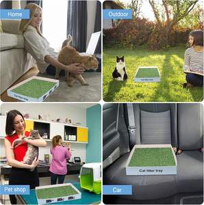 Bac à litière jetable pour chat Super léger étanche pour voyage et utilisation en intérieur Caja de <span class=keywords><strong>arena</strong></span> para gatos - Product Image 4