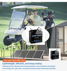 <span class=keywords><strong>LiFePo4</strong></span> 12v 24v 100ah 200ah 300ah 리튬 이온 배터리 팩 에너지 저장 - Product Image 4