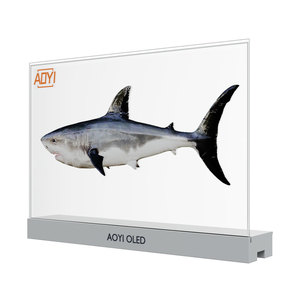 <span class=keywords><strong>Écran</strong></span> <span class=keywords><strong>OLED</strong></span> <span class=keywords><strong>transparent</strong></span> haute définition de 55 pouces, résolution 1920x1080, <span class=keywords><strong>écran</strong></span> tactile, WiFi, affichage numérique de bureau avec <span class=keywords><strong>prix</strong></span> d'usine - Product Image 1