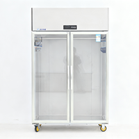 Réfrigérateur vertical commercial pour viande avec refroidissement par air, écoénergétique, pour la présentation et le stockage de la viande en supermarché