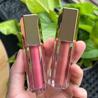 Vente en gros OEM marque privée logo personnalisé rouge à lèvres mat imperméable à l'eau rouge à lèvres liquide brillant à lèvres accepter livraison directe