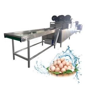 Lavadora de Huevos Comercial, Máquina de Limpieza Automática Multifunción Tipo Cepillo para Granjas e Industrias Minoristas - Product Image 6