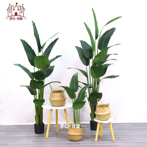 ต้นปาล์มเทียมดรีมคาสเซิล ขนาด 100-200 ซม. สำหรับตกแต่งภายในบ้านและสำนักงาน - Product Image 3