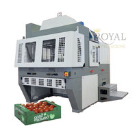 Automatische machine voor het opzetten van golfkartonnen dozen voor avocado's en citrusvruchten.
