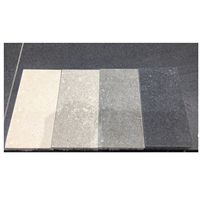 Carrelage 2cm Saso Carrelage Porcelaine Extérieur Antidérapant Surface Rugueuse Pierre 20mm Carrelage Homogène pour Escaliers