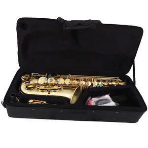 プロの陽極線画完成した管楽器S-40手頃な価格のSax ProfessionalEb Alto Saxophone with Accessories - Product Image 6