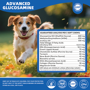 Glucosamine pour chiens seniors et grands chiens, formule avancée pour la mobilité, avec moule à lèvres vertes, chondroïtine, MSM et oméga-3, disponible en stock OEM - Product Image 3