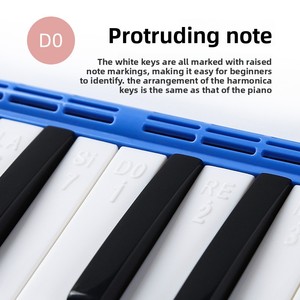 Organo a bocca Feifan a 32 tasti per studenti, con custodia rigida, ideale per l'insegnamento in classe, per principianti e per performance, vendita all'ingrosso, include strumento musicale con boccaglio - Product Image 4
