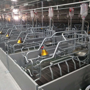 Chất lượng cao lợn <span class=keywords><strong>farrowing</strong></span> quầy hàng Lợn giường lợn nái sinh đẻ bút - Product Image 5