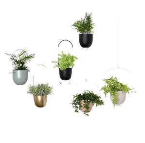 Support de <span class=keywords><strong>plante</strong></span> de pot de fleur enduit de poudre de planteur suspendu de <span class=keywords><strong>plafond</strong></span> de mur en métal du milieu du siècle pour la maison ou le jardin - Product Image 1