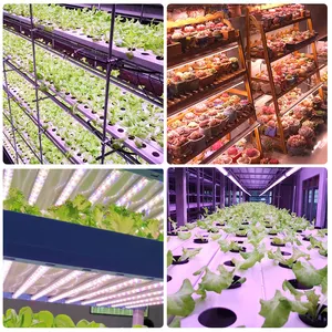 Integrated T8 T5 Grow Light 9W/13W/18W/24W Full/Red&Blue Spectrum Vertical Farm Tube Hydroponics Plants Led Grow Light