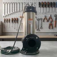 Pompe submersible industrielle professionnelle SS304 triphasée 380V à bride de 80 mm pour le traitement des eaux usées