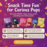 Jouets pour chiens en peluche Crinkle Snack Bag, jouets à mâcher interactifs pour chiots, jouets pour animaux de compagnie durables, avec friandises aux fruits, café et noix mélangées, et jouets qui couinent
