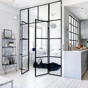 Puertas Y VENTANAS DE METAL de diseño moderno para el hogar, puerta de granero de acero que ahorra espacio con un solo vidrio, nueva arquitectura Interior a medida