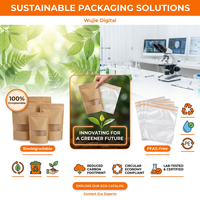Pochettes à bec verseur sans BPA de qualité alimentaire avec poignée pour lait, jus et boissons 1,5L 2L 3L 5L – Anti-fuite, service OEM ODM, grand sac à liquide