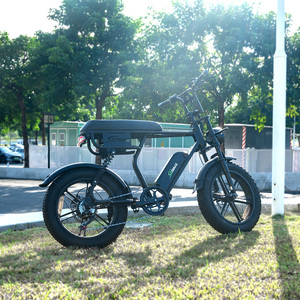 Bicicleta Eléctrica Híbrida de Montaña V20 PRO de 20 Pulgadas, Precio al por Mayor, 7 Velocidades, Freno de Disco Hidráulico, Batería de 15ah, Dos Asientos, Fatbike - Product Image 3