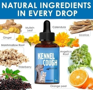 Gotas Líquidas de Hoja de Gordolobo Honey Pet OEM ODM para Perros y Gatos - Alivio de la Tos, Apoyo para Alergias, Respiración Libre, Buen Humor, 30 ml - Product Image 5