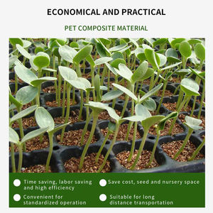Plateaux <span class=keywords><strong>de</strong></span> semis durables <span class=keywords><strong>en</strong></span> PS, 21-128 cellules, pour jardin, fleurs, légumes, germination, plateaux <span class=keywords><strong>de</strong></span> semis carrés <span class=keywords><strong>en</strong></span> <span class=keywords><strong>plastique</strong></span> - Product Image 6