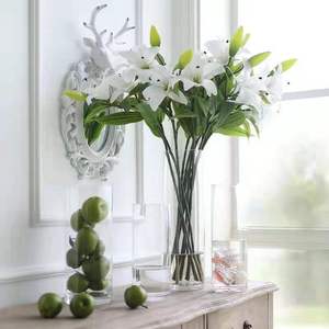 <span class=keywords><strong>Vase</strong></span> <span class=keywords><strong>en</strong></span> <span class=keywords><strong>verre</strong></span> cylindrique <span class=keywords><strong>haut</strong></span> LUYI, design simple, <span class=keywords><strong>transparent</strong></span>, style nordique, pour mariage et décoration intérieure, vente <span class=keywords><strong>en</strong></span> gros usine à prix abordable - Product Image 4