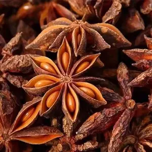 Premium Grade Star Anise Spice Factory Supply Dried Chinese Spices Herbs Wholesale Natural Dried Star Anise