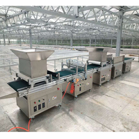 Machine de remplissage et de semis de plateaux de semis entièrement automatique et de haute précision avec une précision de 98 % pour les semis de pépinière