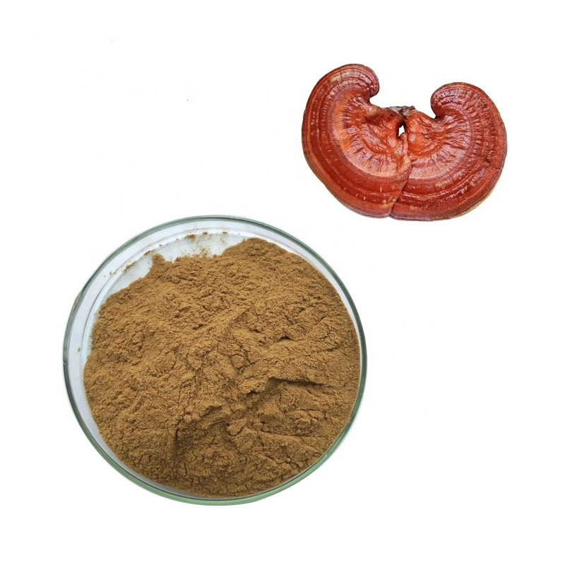 Haccp 100 5 1 Various Lingzhi