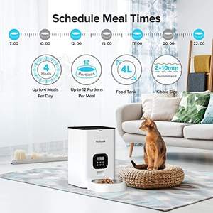 Distributeur automatique d'aliments secs pour chats chiens Mangeoire <span class=keywords><strong>programmable</strong></span> pour animaux de compagnie 10s Enregistreur vocal 4 repas par jour 10s Portion plastique automatique - Product Image 4