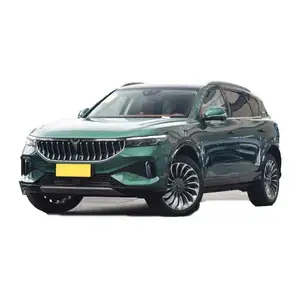 2022 중국 새로운 에너지 차량 SUV VOYAH 무료 5 좌석 차량 중국에서 만든 저렴한 가격과 자동차