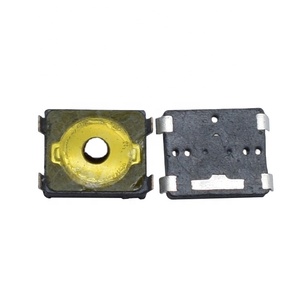 EVPAF5B70 EVPAF7B70 Công Tắc Micro Mini Nhà Máy EVPAFFB65 Công Tắc Màng Tế Bào Smt Smd Cấu Hình Thấp 3*2.6*0.65 - Product Image 1