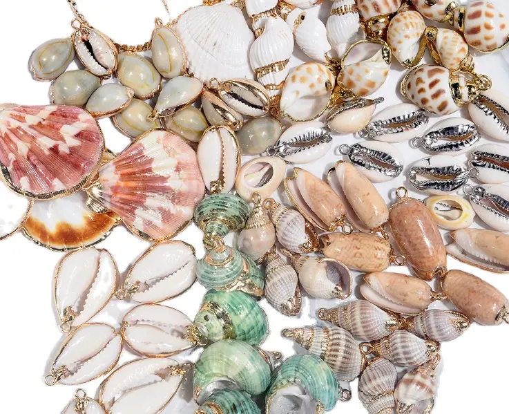 Hot Natural Sea shell charms accessori per gioielli high end placcato oro cowrie Conch shell charms per bracciali orecchini