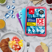 4 packs de glace réutilisables et non toxiques en plastique HDPE-rétention de froid longue durée pour les boîtes à lunch, la pêche et les pique-niques, colorés.