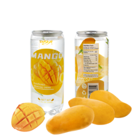 Offre Spéciale 350ml Elisha Exotic Soda Boisson gazeuse à la saveur de mangue pour adultes et enfants-Vente en gros