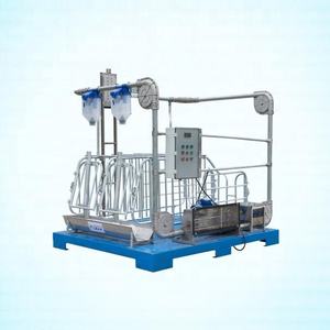 Jaula de Gestación para Cerdos HENGYIN HY-AFS, Nueva, Anticorrosiva, con Diseño de Puerta Trasera, Larga Vida Útil, Certificación CE - Product Image 1