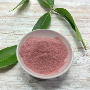 100% melograno naturale frutta in polvere fonte vegetale melograno in polvere - Product Image 1