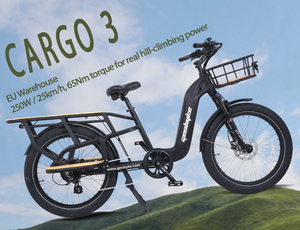 Vélo cargo électrique 48V 250W en aluminium 24 pouces, batterie lithium 48V 15AH, longue autonomie, pneus anti-crevaison, ligne réfléchissante, 7 vitesses - Product Image 1