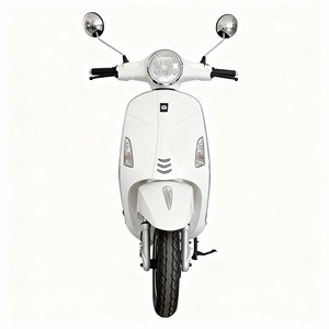 1000W Retro Electric Scooter, 10" Wheels, Drum &amp; Disc Brakes, 45km/<strong>h</strong> Commuting E-Scooter Customizable Products Made in China - Product Image 2