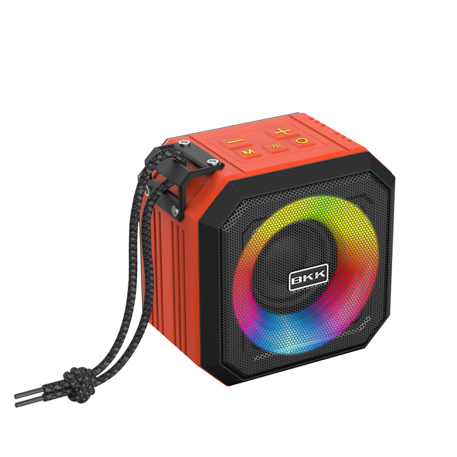 5W RGM Mini  Speaker with Fm Radio