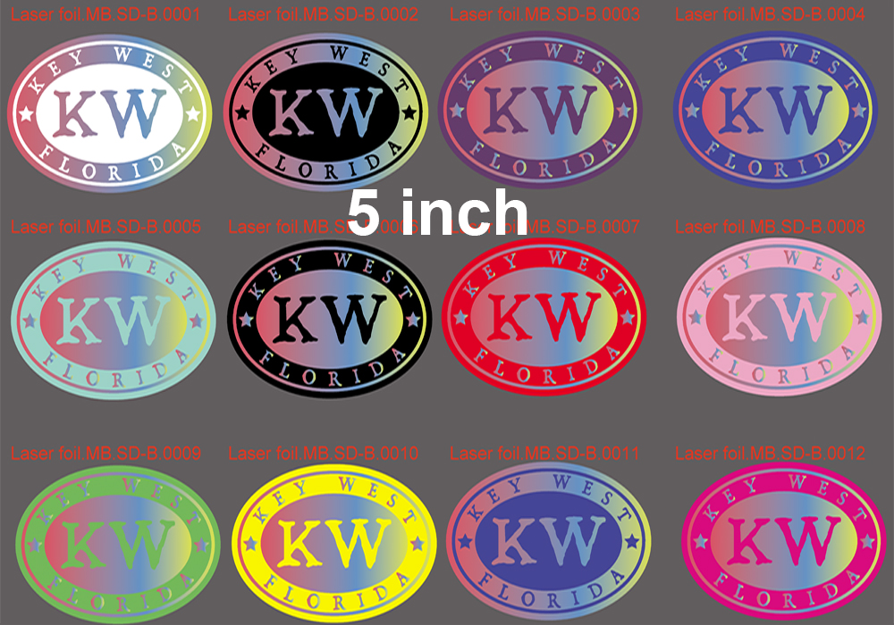 12 couleurs - Holographique-5 pouces