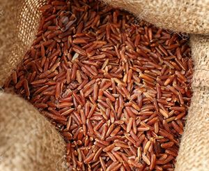 Red Rice Grains in Green <b>Measuring</b> <b>Cup</b> Bulk Grain Container From Orissa <b>for</b> Cooking and <b>Baking</b> - Product Image 6