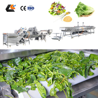 2000Kg/u Groentebladeren Reinigings- en Wasmachines Spinazie Snijmachine Groente Droogmachine Productielijn voor Verse Salades