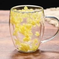 Mug à café en verre à double paroi réutilisable de 250 ml/350 ml avec poignée, design fleurs séchées, pour la maison et le bureau