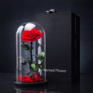 शानदार वैलेंटाइन्स दिवस उपहार संरक्षित फूल गिलास गुंबद मंत्रमुग्ध संरक्षित हमेशा के लिए गिलास गुंबद में गुलाब - Product Image 4
