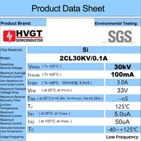 Ensemble redresseur en silicium haute tension HVGT 2CL30KV/0.1A 100mA 30KV basse fréquence