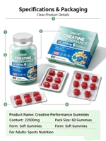 Gummies de Créatine Sportive Formule Monohydrate Multi-Acides Aminés 60 Unités Soutien Électrolytique Nutrition Sportive Marque Privée Personnalisée