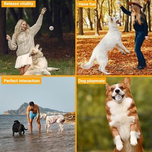 Jouet pour chien, balle pour chiens agressifs, durable, écologique, rebondissante, légère, flottante, en matériau ETPU - Product Image 2
