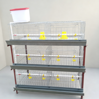 Cage à poulets de type H galvanisée, 4 niveaux, 2 portes, nouvelle, haute qualité, pour élevage en batterie, fabricant, faible coût