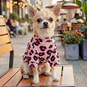 PETCIRCLE Nouvelle collection printemps/automne, sous-vêtement confortable à imprimé léopard pour petits chiens, chiots et chats - Product Image 2