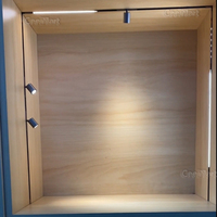 Un nouveau design pour les spots LED magnétiques à rail utilisés dans les armoires et les vitrines ; détachable.