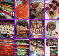 Commerciële Fruit Groenten Droger Tomaat Chili Peper Droogoven Mango Droogmachine