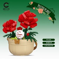 Boîte Mystère de Plantes Succulentes et Roses - Kit de Jardinière à Construire, Cadeau pour Femmes, Décoration de Bureau et Cadeau Surprise